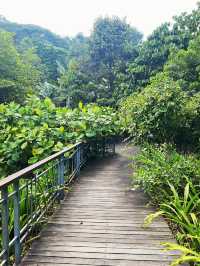 Enjoy the hot weather in the KL garden 🏡🏡