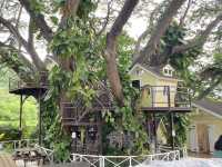 DAIRY HOME กรีกโยเกิร์ตร้านโปรด😍
