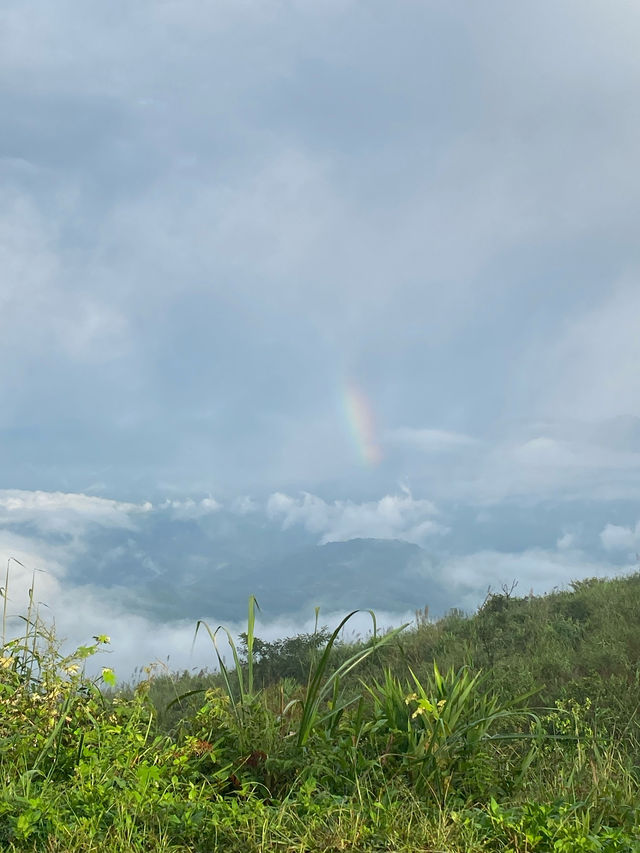 ดอยช้างมูบ | จ.เชียงราย ⛰️🌳🌦️🌈