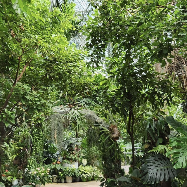 【韓国】約31000種類の植物が見られるソウル植物園🪴