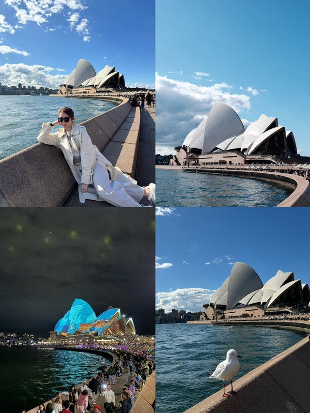 🇦🇺悉尼旅行·澳洲的象徵悉尼歌劇院