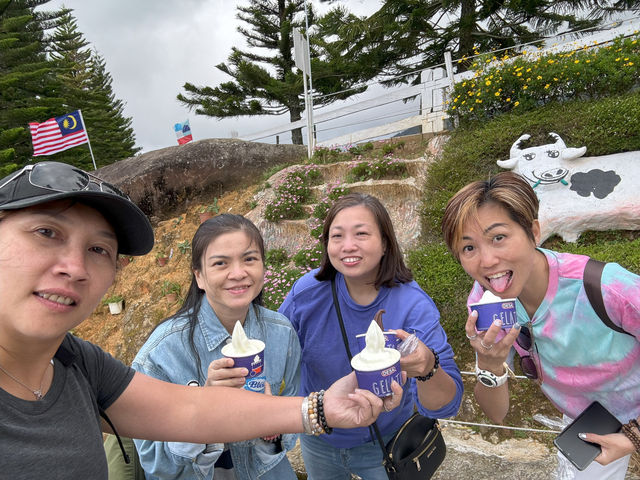 Desa Dairy Farm, Kundasang