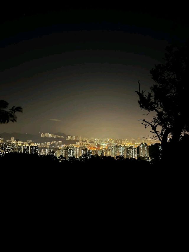 「青衣自然徑：青馬大橋壯觀景色，適合喜歡大自然的朋友」