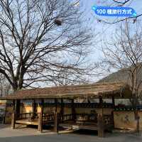 大邱 馬飛亭壁畫村