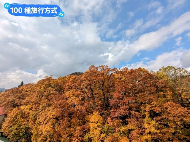 北海道賞楓-如詩如畫的定山溪二見吊橋