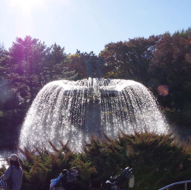 東京景點｜東京近郊知名銀杏賞風景點—國營昭和紀念公園