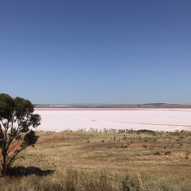January visiting Pink lake at Lochiel in Adelaide. It is only a two hour driving from Adelaide city. Luckily just escaped from the heatwave. Recommend people who like to visit Adelaide check the heatwave forecast before while planning your holidays 🥸
💰Average Price per Person: no ticket entry 
#Adelaide  
#pinklake 
#Likeintheheaven 
#Lochiel 
#romantictrip 