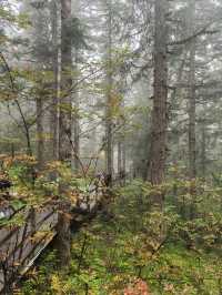 Beautiful Hiking Trail in Huanglong Valley