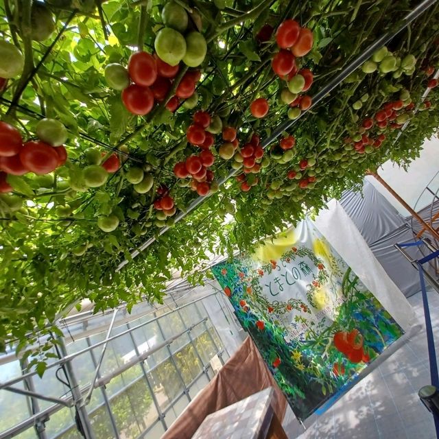 【えこりん村:北海道恵庭市】自然豊かなテーマパーク🌳