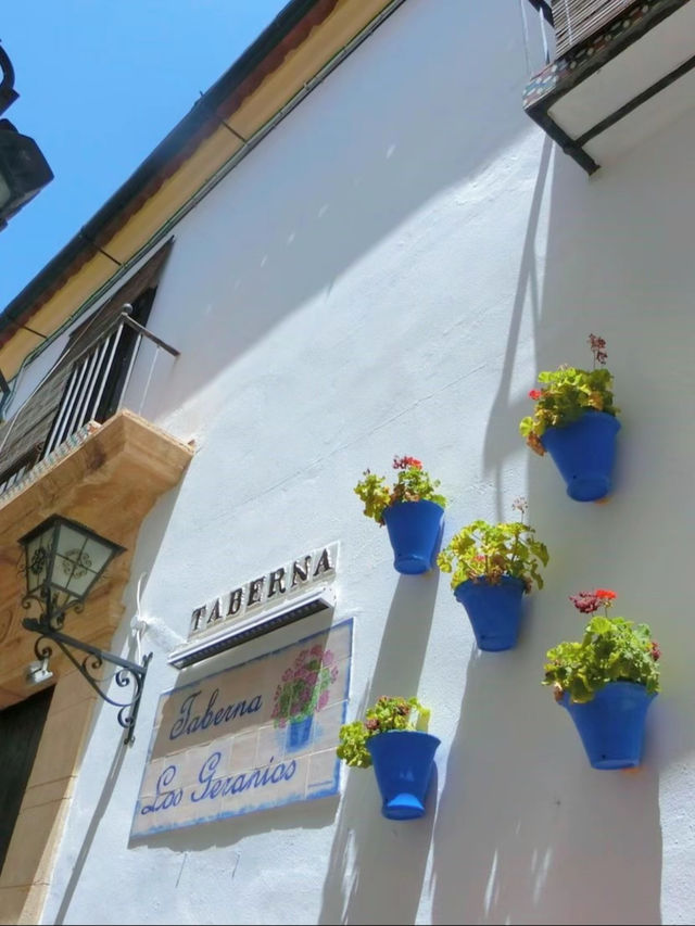 【スペイン】まるで童話の世界🫣🏰美しすぎる花の小道💐🌿💖【コルドバ】