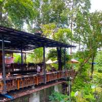 กิจกรรมสุดอลังการ เดอะจังเกิ้ล โป่งแยง (The Jungle