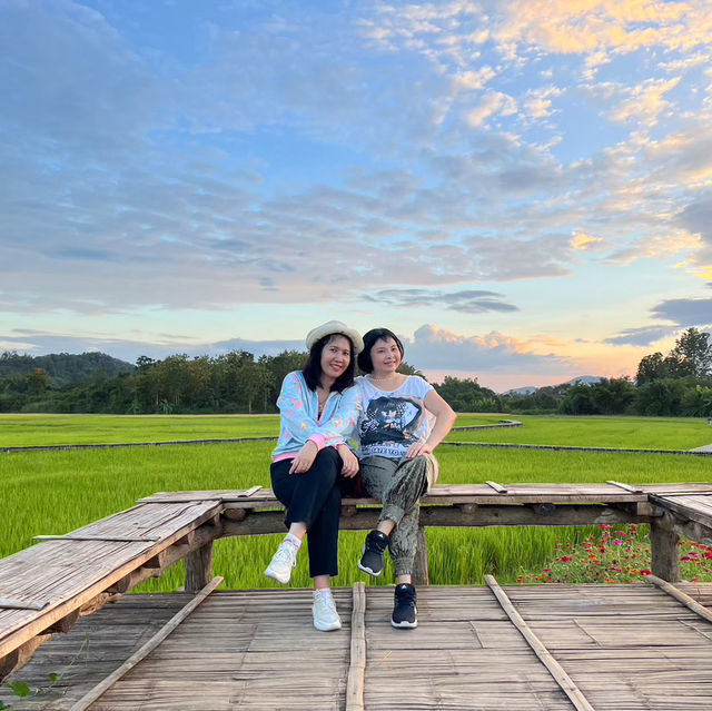 วิวทุ่งนาบ้านนาต้นจั่น
