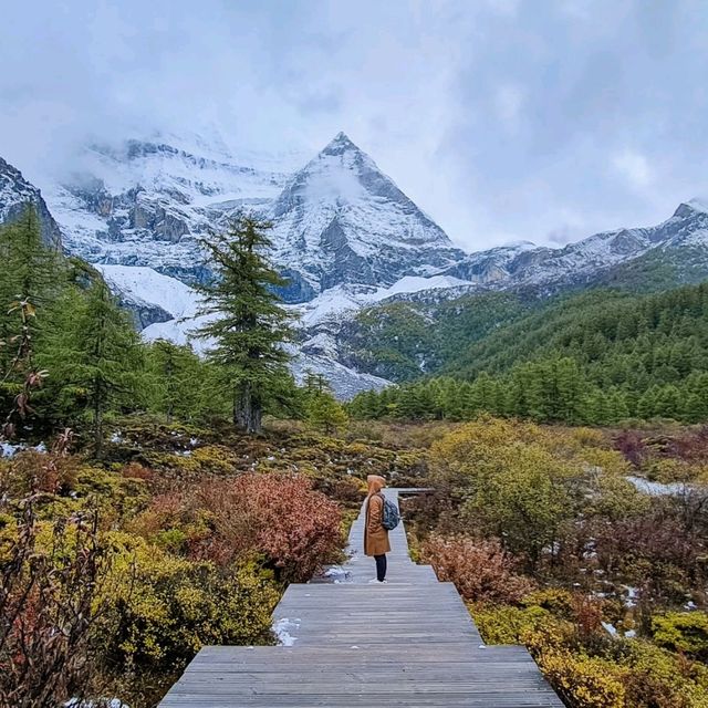 Lost in yading