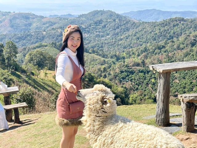 อาข่า ฟาร์มวิลล์ (Akha FarmVille)