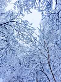 ❄️ 서울의 아름다운 레트로 한옥 눈풍경을 볼 수 있는⛄️한옥마을 여행지 추천