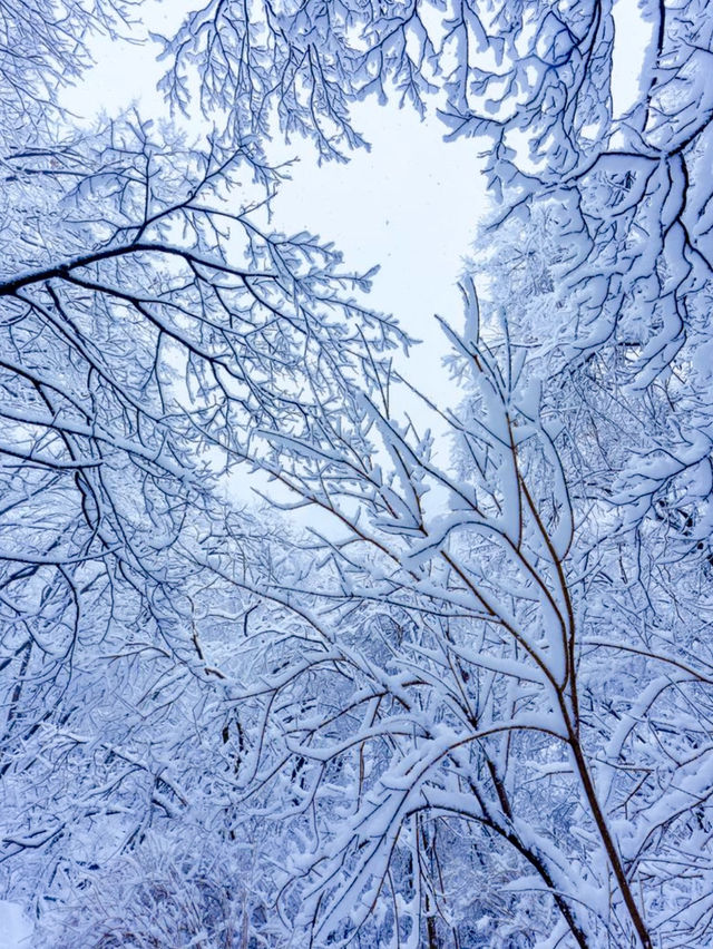 ❄️ 서울의 아름다운 레트로 한옥 눈풍경을 볼 수 있는⛄️한옥마을 여행지 추천