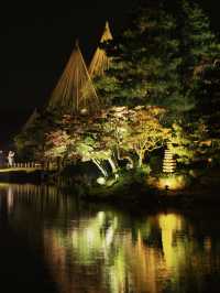 【石川】年間でのライトアップもおすすめは秋🍂週末限定の様子を紹介✨