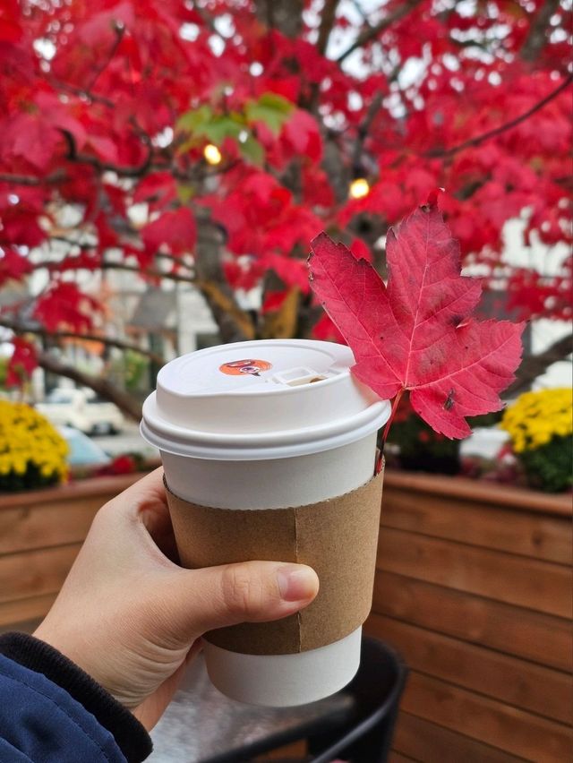 🇨🇦 캐나다 퀘벡 단풍뷰 카페 ☕️