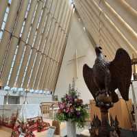 【NZ】本当にダンボール？！Cardboard Cathedral📦