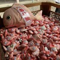 本川越求姻緣好去處｜冰川神社