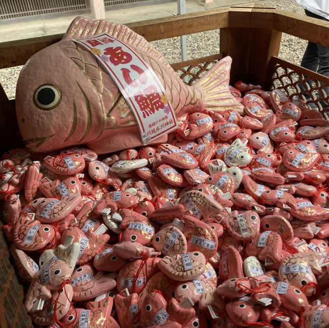 本川越求姻緣好去處｜冰川神社