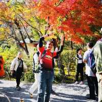 Autumn Bliss: Exploring Tenryuji’s Stunning Fall Colors!