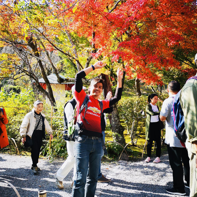 Autumn Bliss: Exploring Tenryuji’s Stunning Fall Colors!