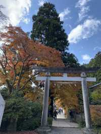 【東北×山形】東北の紅葉🍁名所  岩肌と奇石 紅葉🍁のコントラストが素晴らしい