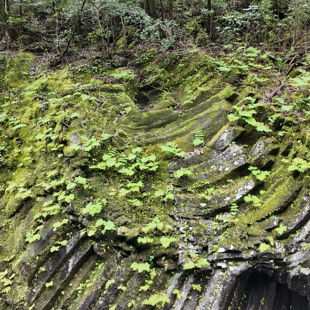 錐麓古道：綠野中的歷史足跡 🌿🚶‍♂️