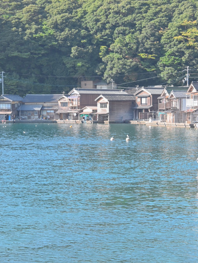 【京都】伊根の舟屋へ秋trip