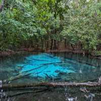 Emerald Pool in Krabi