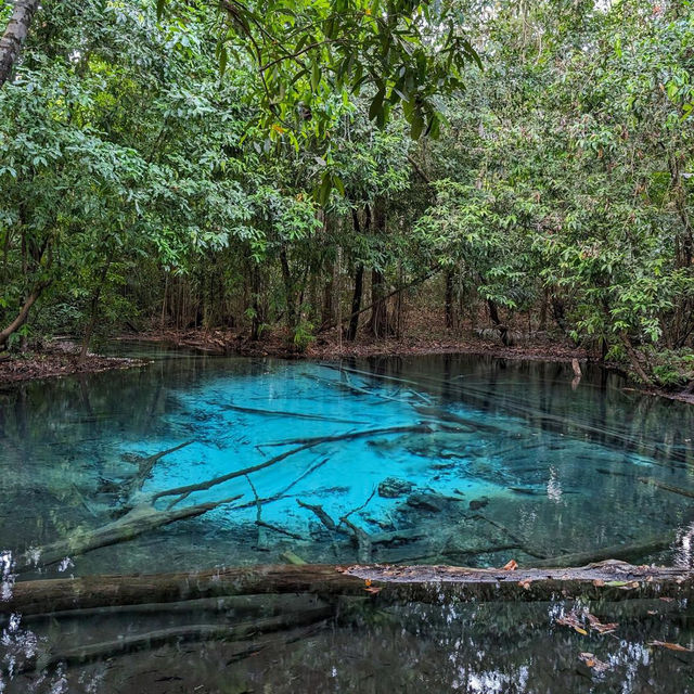 Emerald Pool in Krabi