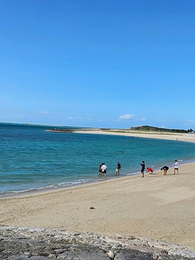 豊崎海浜公園
