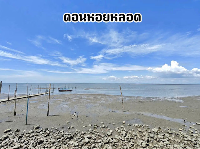 ดอนหอยหลอด จ.สมุทรสงคราม