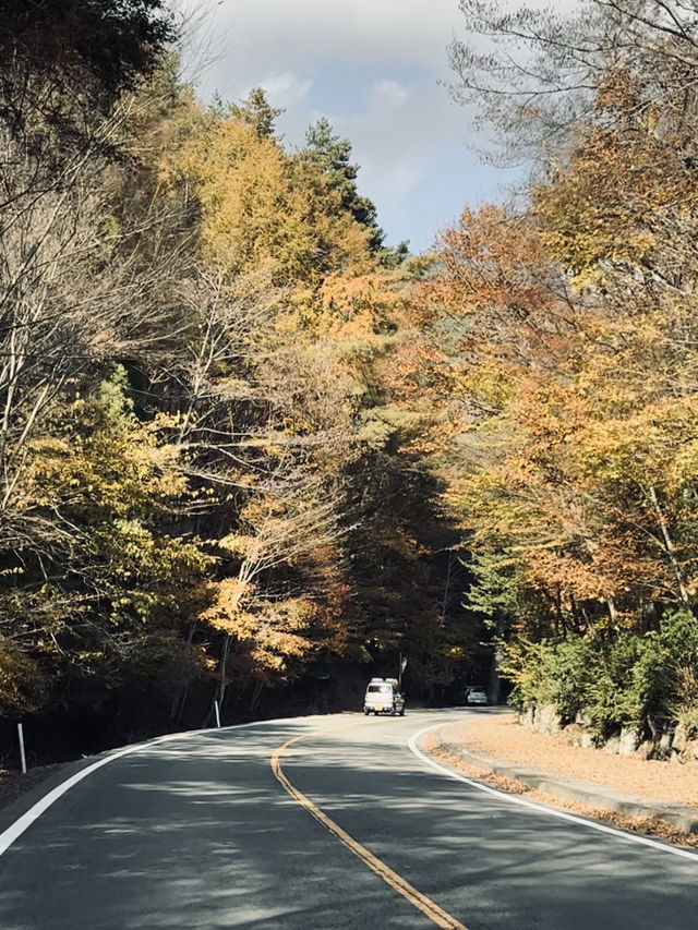 Lake Saiko จุดพักรถแวะถ่ายรูป 📸🏔️