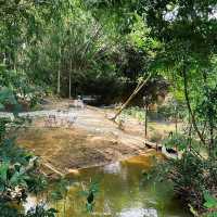 #ร้านปาฎี #คาเฟ่ระยอง #มุมใหม่ของร้าน #thewildflow