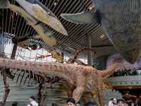 🦕🦓🦌Shanghai natural history museum