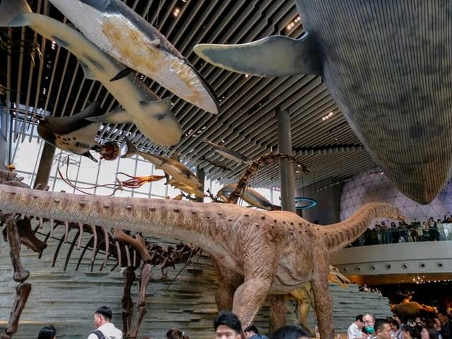 🦕🦓🦌Shanghai natural history museum