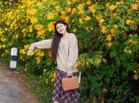 🌼 ทุ่งดอกบัวตองที่ใหญ่ที่สุดในไทยบานแล้ว