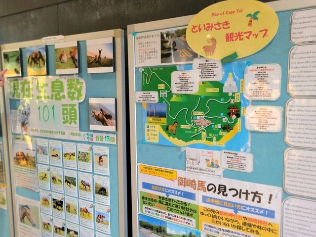 宮崎最南野馬保護區-都井岬 超浪漫夕陽