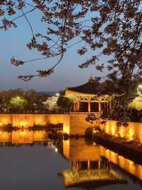 Twilight Magic at Donggung Palace and Wolji Pond