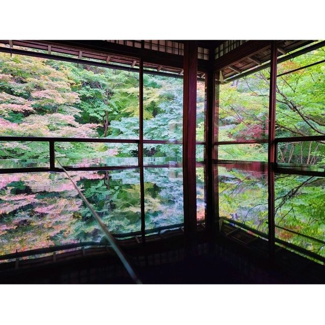 賞楓心靈之旅
