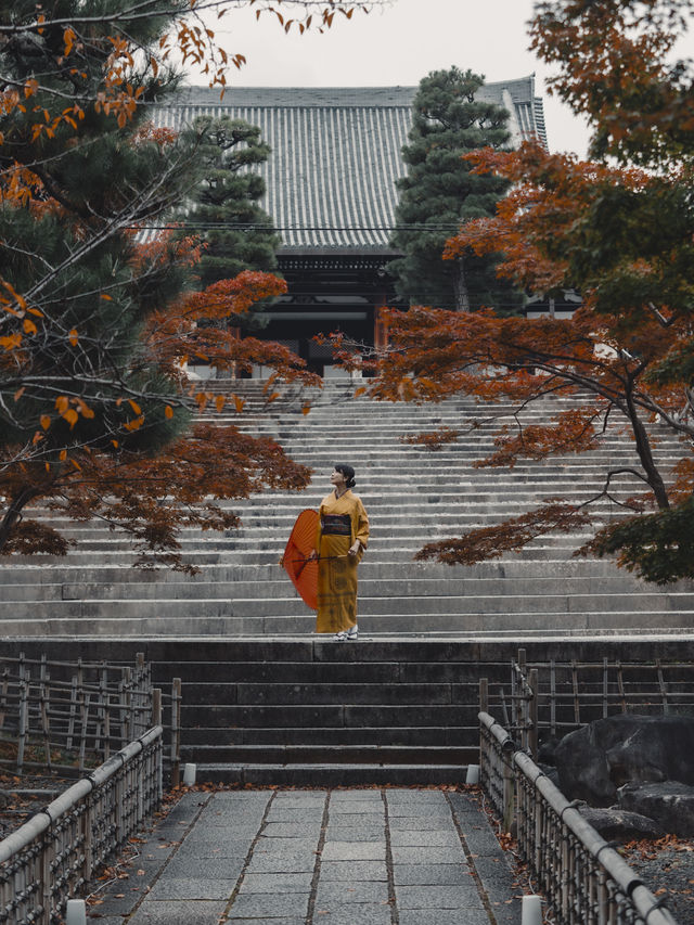 京都紅葉🍁穴場スポット 『くろ谷 金戒光明寺』