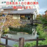 長崎観光！日本名水１００選の湧水「鯉の泳ぐまち」