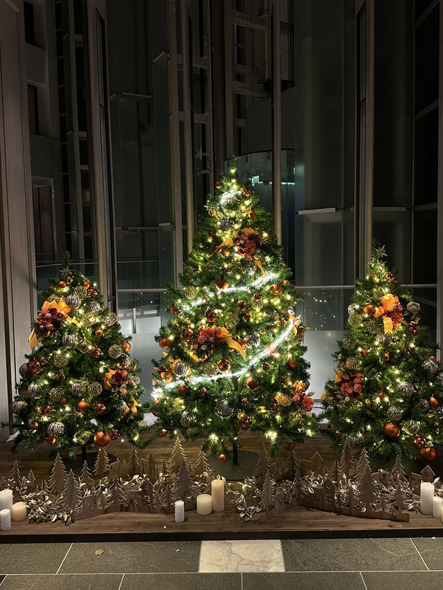 도쿄타워 옆에서 느끼는 ✨낭만적인 도쿄의 크리스마스 투어 여행지🎄