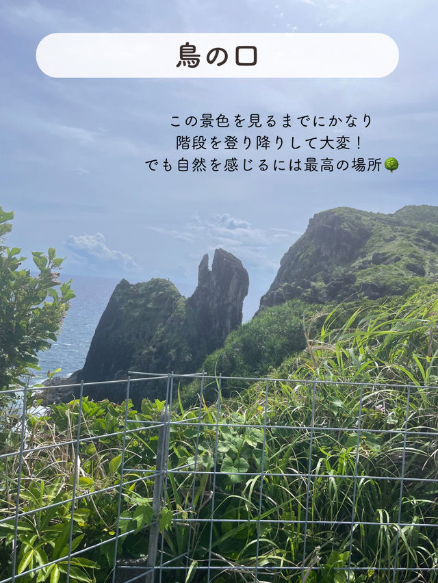 【久米島】おすすめSPOT7選！