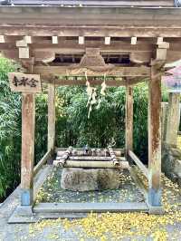 【奈良　素盞雄神社】