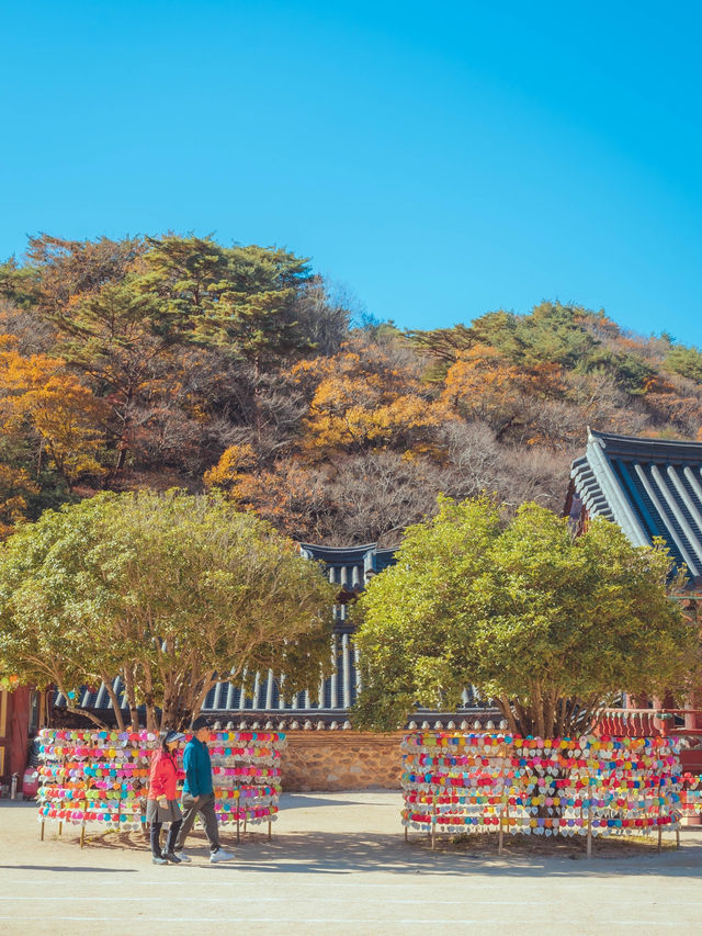 스님들도 다녀온다는 무소유길 산책코스“순천 송광사”