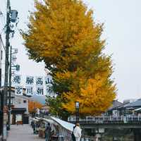 Miyagawa Morning Market