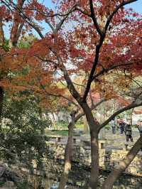 Must see garden in Suzhou 🍁